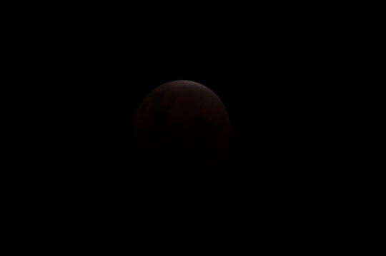 eclipseofthemoon010.jpg